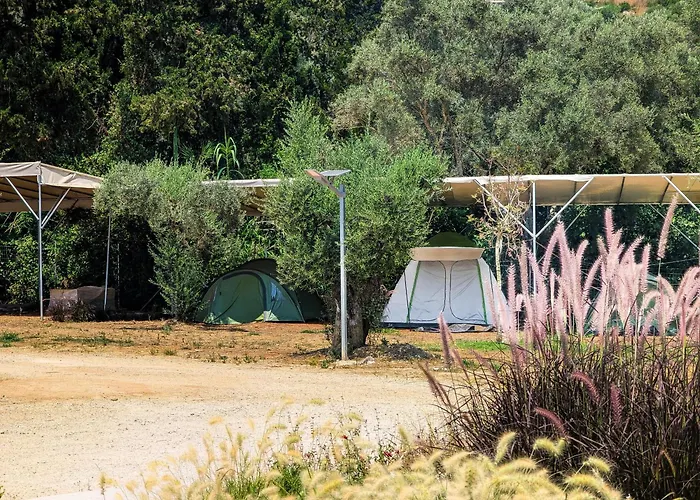 Nirikos Camping