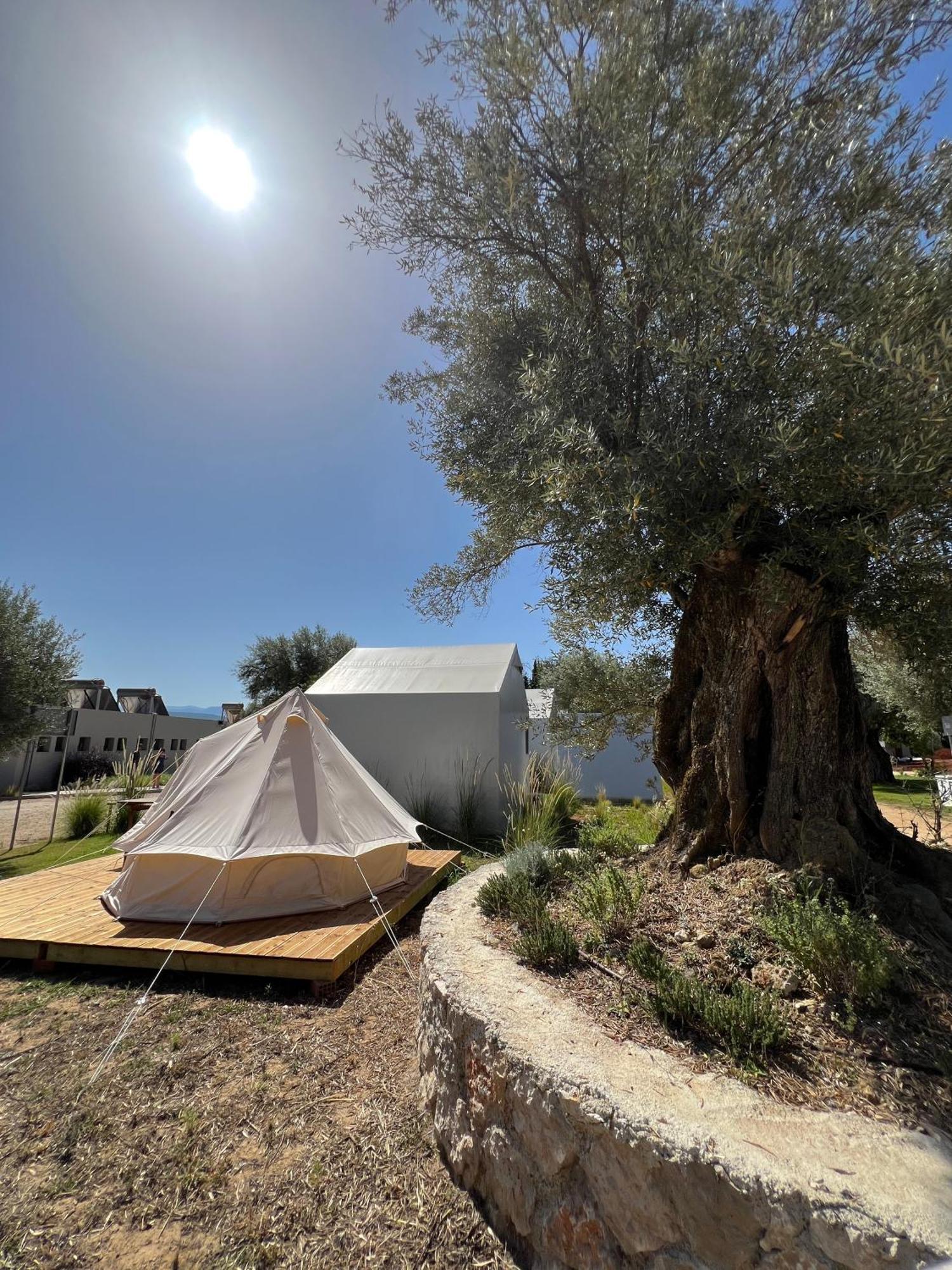 Nirikos Campsite